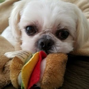 Meet your Posher, Sherri